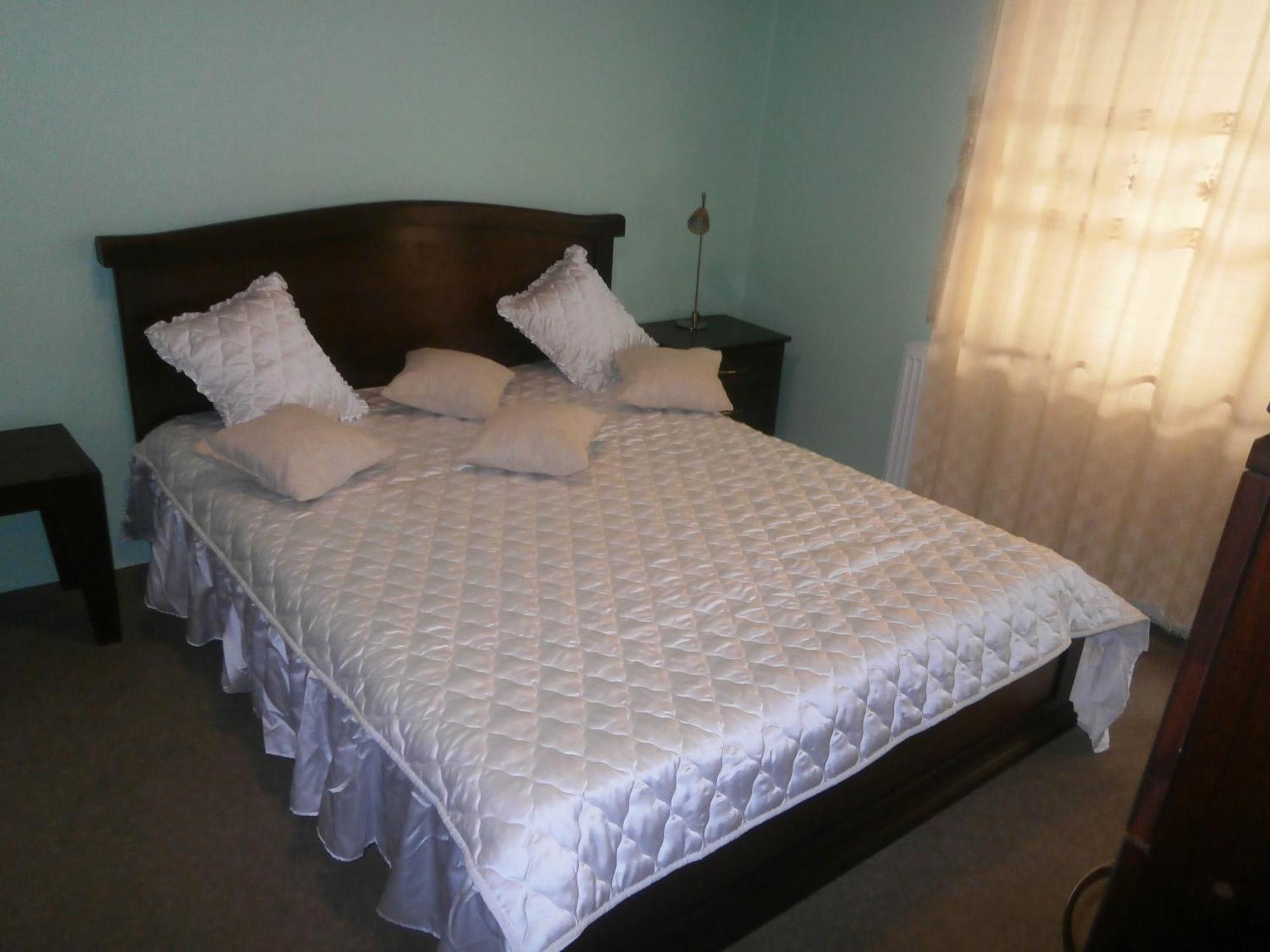 Hotel Vila Mitic Luxx Spa Centar 莱斯科瓦茨 外观 照片
