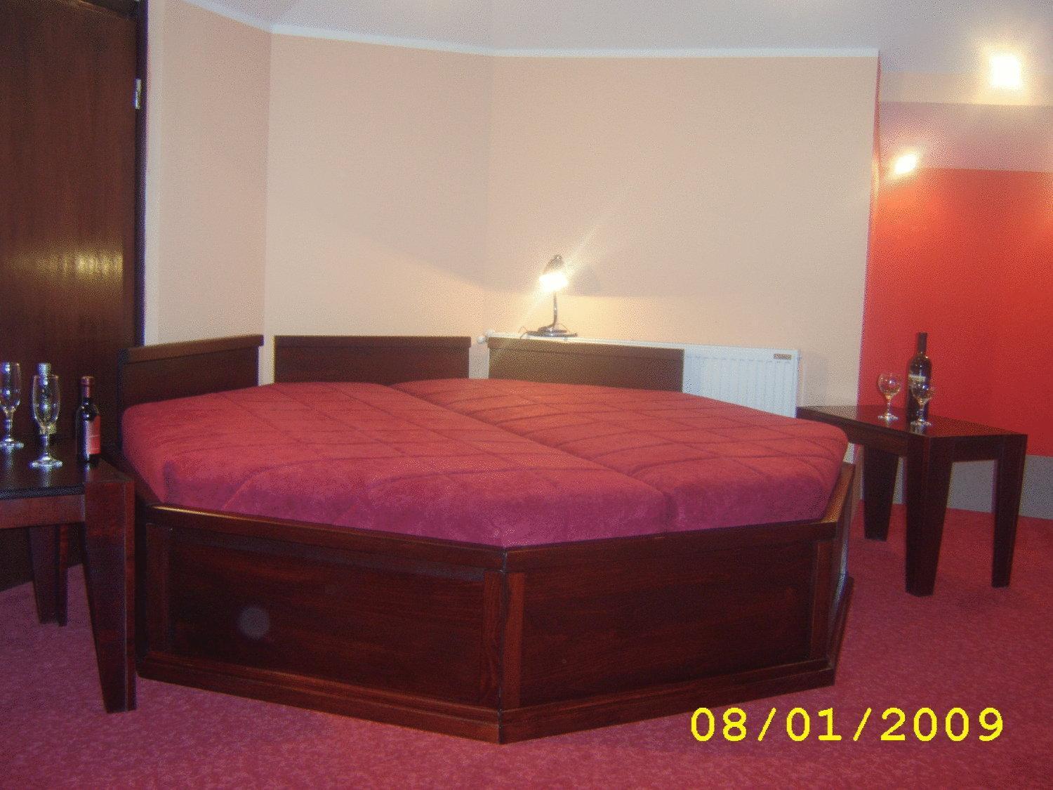 Hotel Vila Mitic Luxx Spa Centar 莱斯科瓦茨 外观 照片
