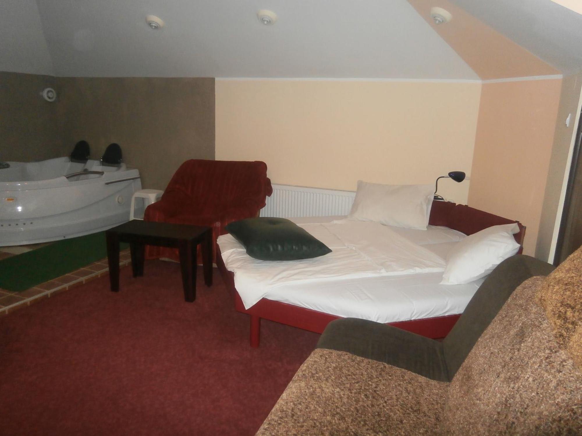 Hotel Vila Mitic Luxx Spa Centar 莱斯科瓦茨 客房 照片