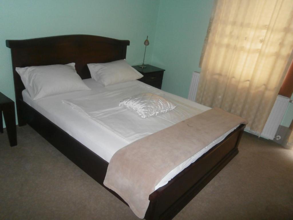 Hotel Vila Mitic Luxx Spa Centar 莱斯科瓦茨 外观 照片